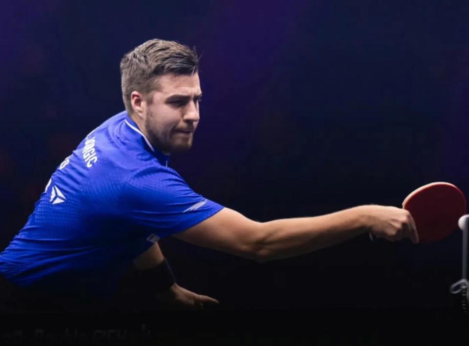 选举和建立 选举和建立